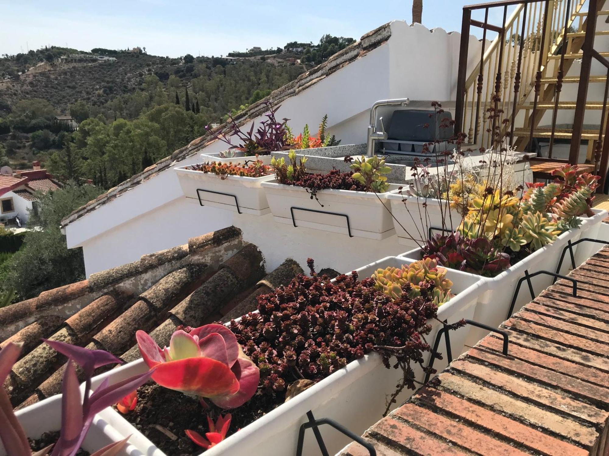 Studio Views Apartment, Cortijo Fruitful Hills Malaga Ngoại thất bức ảnh